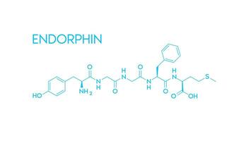 Endorphin structural chemical formula isolated on white background. Hormone in human brain. Medical scientific concepts. Vector EPS10 illustration.