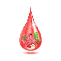 Raspberry inside water droplets red isolated on white background. Drop vitamins and collagen organic anti aging serum. Fruit acid product. For natural eco skin care cosmetic. Realistic 3d vector. vector