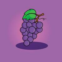 Grape fruit vector illustration