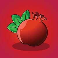 Pomegranate vector illustration