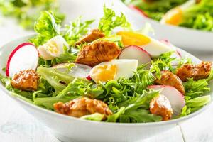 Salad with mixed ingredients pieces of chicken breast egg radish and olive oil photo