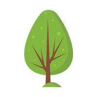 árbol elemento vector