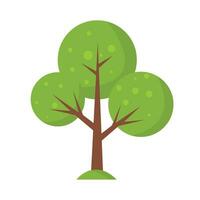 árbol elemento vector