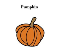 Pumpkin for Halloween or Thanksgiving colorful design with vector illustrations