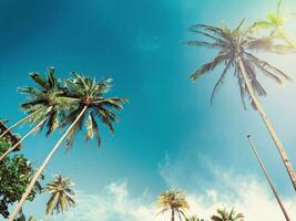 Blue sky and palm trees view from below, vintage style, tropical beach and summer background, travel concept. Ai Generative. photo