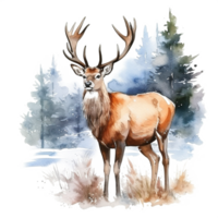 Christmas Watercolor Deer at Christmas in Winter Snow png