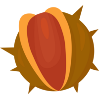 outono castanha fruta png