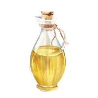 Olive oil in glass jug with cork and jute cord. Hand drawn watercolor illustration. For menu, product and italian, greek, spanish cuisine design png