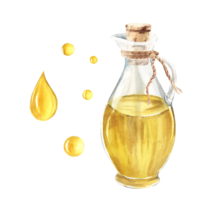 Olive oil in glass jug and oil drops. Hand drawn watercolor illustration. For menu, product and italian, greek, spanish cuisine design png