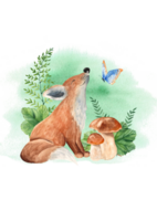 Card template with cute baby fox with butterfly, mushrooms, fern, green leaves on watercolor background. Hand drawn kid forest illustration. For invitations, greeting, birthday cards, baby shower. png