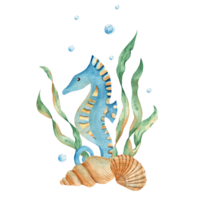 Marine composition of cute seahorse, seaweeds, seashells, water bubbles. Watercolor hand drawn illustration for children. For cards, posters, marine design. png