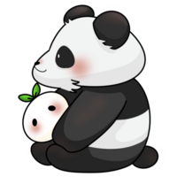 Panda and baby socate png