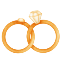 conjunto de Boda anillo dibujos. acuarela estilo. png