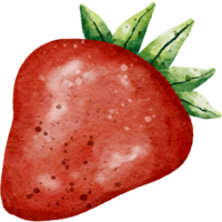 conjunto de fresas dibujado a mano en un estilo acuarela dibujo png