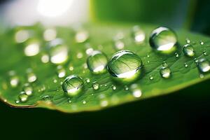 Closeup water drops on green leaf. morning dew on leaves AI Generative photo