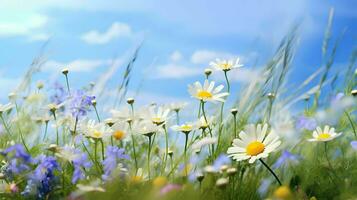 de cerca hermosa prado en verano con salvaje flores manzanilla y azul cielo antecedentes ai generativo foto