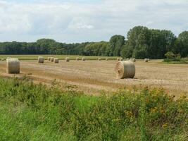 summer time in the germany westphalia photo