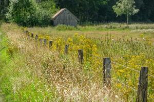 late summer in westphalia photo