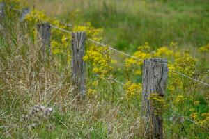 late summer in westphalia photo