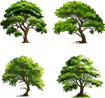 Tree illustration vector