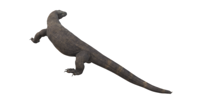 Comodo Dragon isolated on  a Transparent Background png