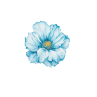 Watercolor Flower, Ai Generated png