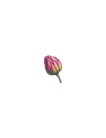 aquarelle fleur, ai généré png