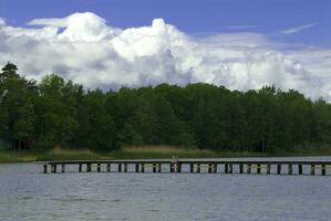 summer landscape with a lake, trees, blue sky and clouds on a warm day photo