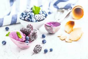 Blueberry and blackberry ice cream in bowl with frozen fruits photo