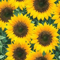 Beautiful Sunflower Pattern. Generative Ai photo