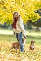 un joven mujer trenes su perros en el parque, ellos hacer el zigzag mando foto