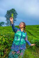 a tea garden farmer is posing beautifully in the middle of green tea leaves photo