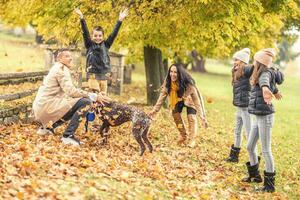 Throwing leaves in the air and playing with a dog outdoors by a family of five photo