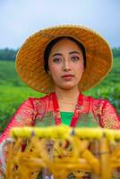 a tea leaf farmer is enjoying the view of the tea garden while holding a basket photo