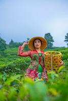 a tea leaf farmer is enjoying the view of the tea garden while holding a basket photo