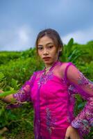 an Asian woman posing very sexy among the tea plantations while wearing a pink dress photo