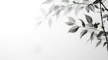 borroso negro y blanco oscuridad de el frondoso árbol en un gris antecedentes. silueta concepto foto