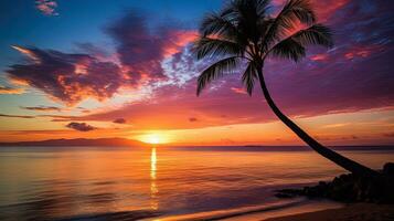 A palm tree silhouette against a vibrant sunset on Kaanapali Beach in Maui photo