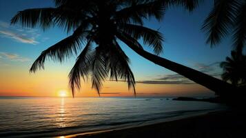 Observe coconut tree silhouette photo