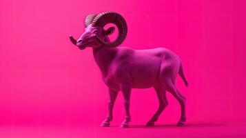 Isolated plastic toy ram on fuchsia background. silhouette concept photo