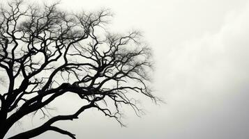 Detailed view of a tree silhouette in black and white photo