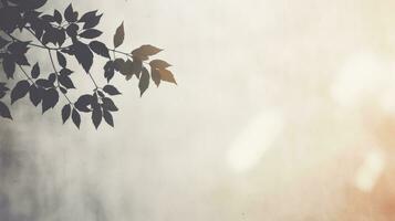 Leaves on a branch with a shadow against a white textured wall. silhouette concept photo