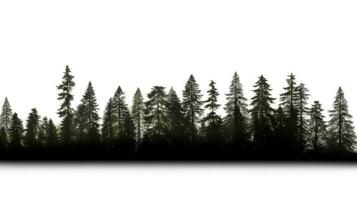 HD Treeline on White Background. silhouette concept photo