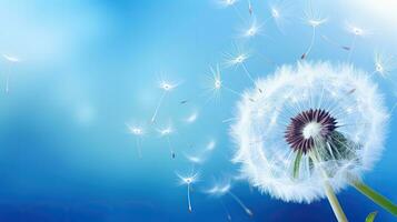 A dandelion silhouette on a vibrant background with seeds in flight photo