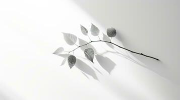Leaf tree shadows appearing blurred against a bright gray backdrop. silhouette concept photo