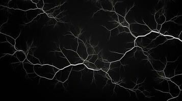 Black background with white branches forming an abstract representation. silhouette concept photo