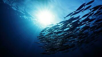 Barracuda silhouette with light rays in the Indian Ocean Andaman sea Thailand photo