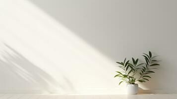 Simple white wall with blurred foliage shadow on light background Perfect backdrop for a presentation on a sleek floor. silhouette concept photo