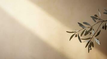 Neutral pastel beige wall adorned with olive tree branches. silhouette concept photo