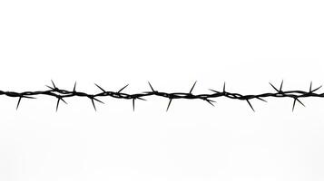 Isolated barb wire fence on white background. silhouette concept photo